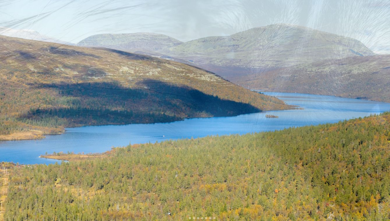 Boende idre  fjällsemester med naturen runt knuten